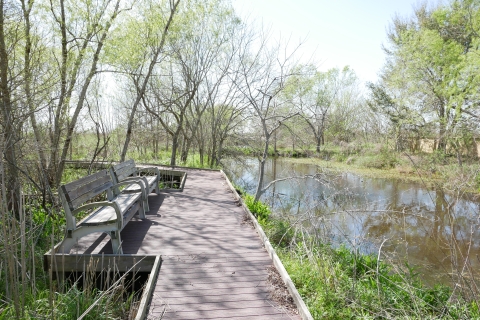 Willows Trail rest area overviewing wetland with trees and emergent plants surrounding boardwalk