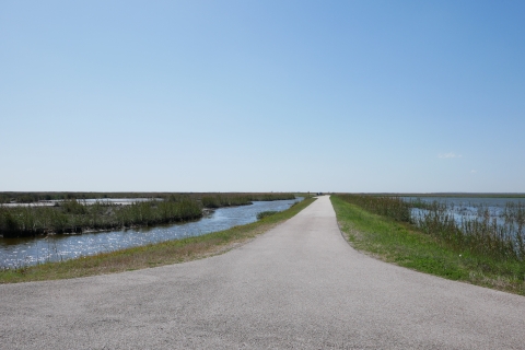 Shoveler Pond auto tour loop extends into a flooded marsh with emergent plants on both sides