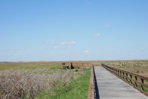 The Southern Hackberry Trail observation deck extending into the marsh