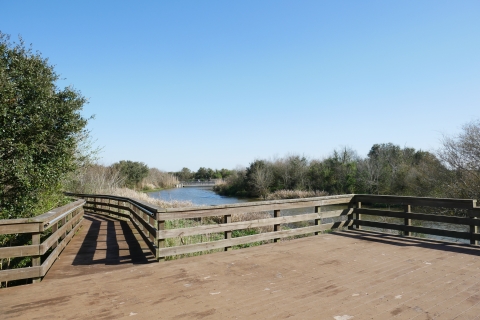 Picture of an observation platform overlooking East Bay Bayou with wetland plants and trees.