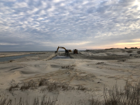 A large digger works in the sand along the beach to create waterfowl ponds
