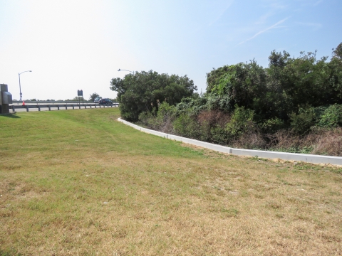 A low concrete barrier separates shrubs on the right from the grass and highway on the left.