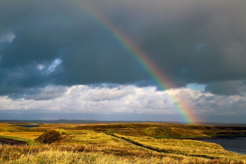 Rainbow over Izembek NWR with cloudy sky and sun lighting up the grass on a shoreline area. 