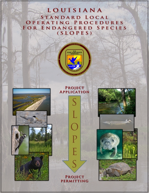 SLOPES Louisiana
