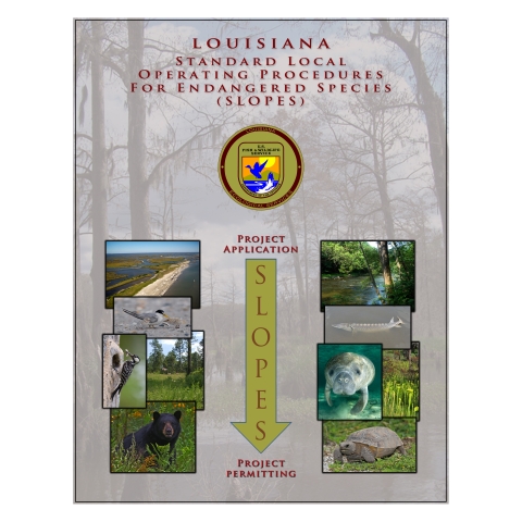 SLOPES Louisiana