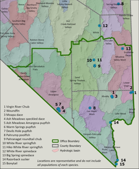 Map depicting locations of desert fishes managed by the Southern Nevada Fish and Wildlife Ofice