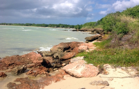 A rocky, sandy and tree-lined shore along turbulent Caribbean Sea waters