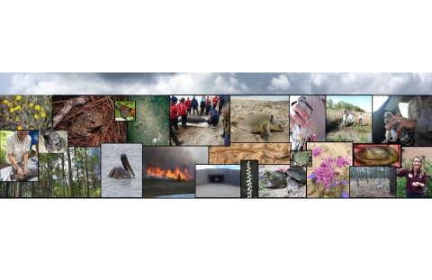 Texas Coastal ESFO Banner Photo