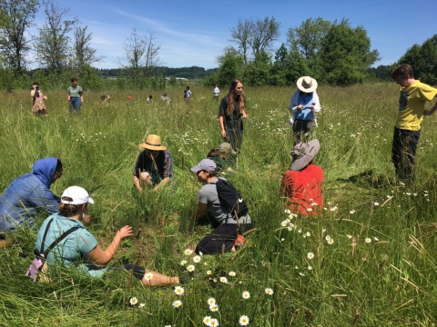 Students and staff in a field working