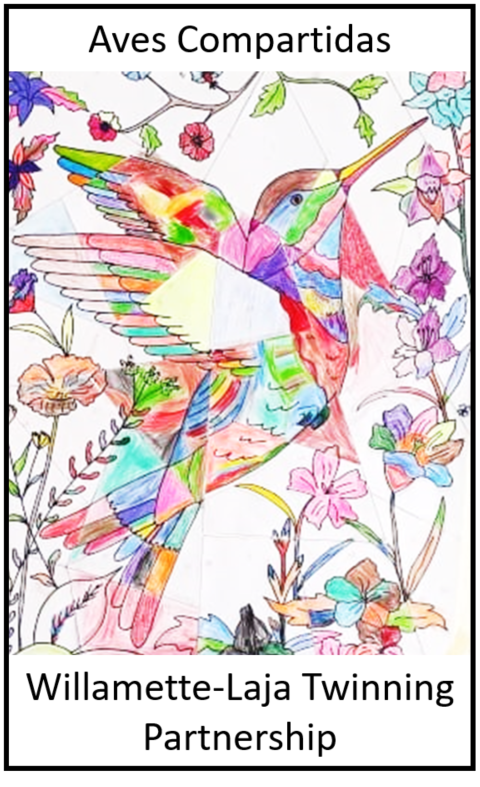 Colorful pencil sketch of a hummingbird with the text "Aves Compartidas, Willamette-Laja Twinning Partnership"