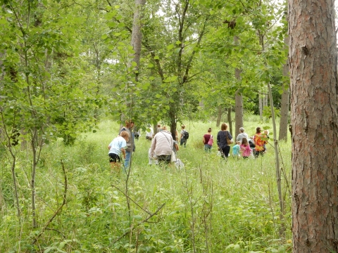 Families walking through woods