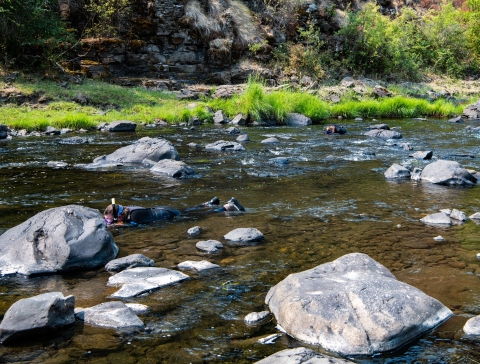 A person snorkeling in a shallow river