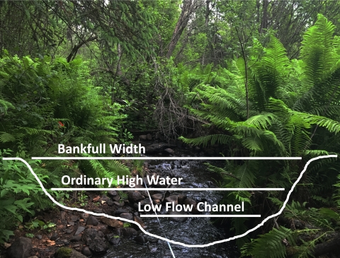 cross section of a small stream showing location of low flow channel, ordinary high water, and bankfull width