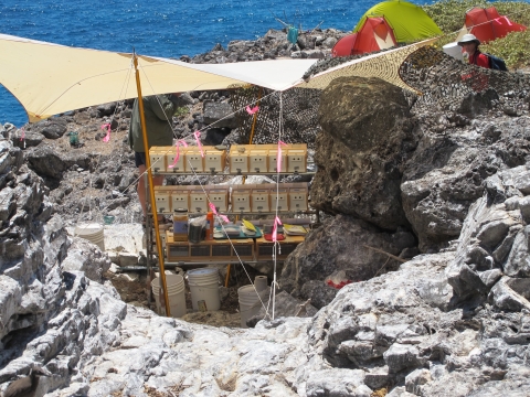 Bird holding cages underneath a cloth canopy in between rocks on a coastal cliffside.