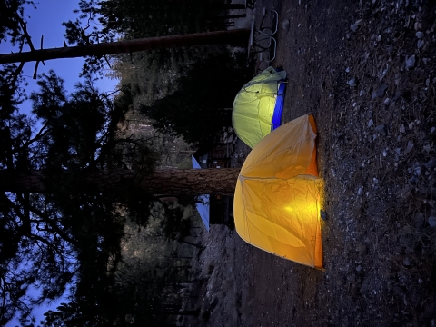Two illuminated tents pitched next to some pine trees and a cabin. The scene is during twilight.