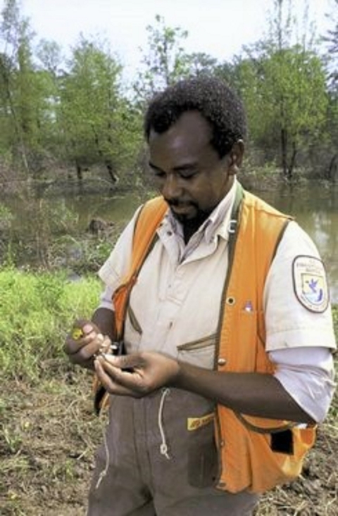 A profile photo of a black man--a Fish and Wildlife Service employee. With his arms in front of himself, raised slightly above the waste, he's looking down at the bird band held in his hands.