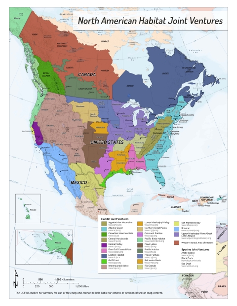Map of Migratory Bird Joint Ventures boundaries in North American
