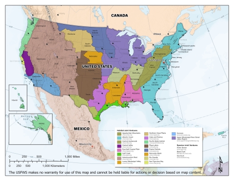 Map of Migratory Bird Joint Ventures boundaries in the US