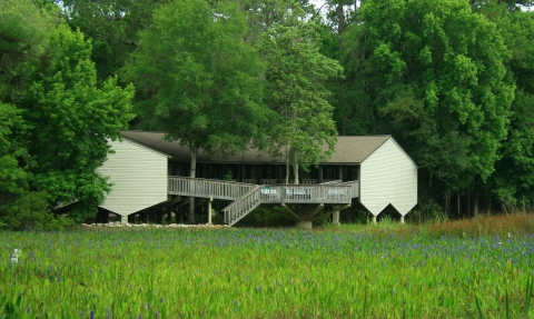 Looking across Plum Orchard Pond at the St. Marks Visitor Center and Administrative Office. The pond is overgrown with aquatic plants, mostly pickerelweed.