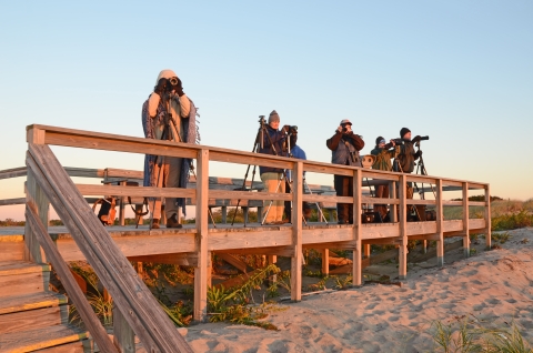 Visitors observe wildlife from a boardwalk at sunset