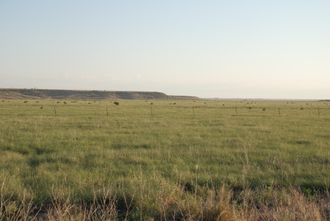 Muleshoe National Wildlife Refuge 