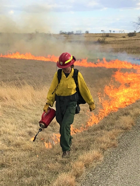 Laying Fire Down for a Prescribed Burn