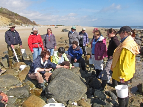 Visitors participate in a tide pool program