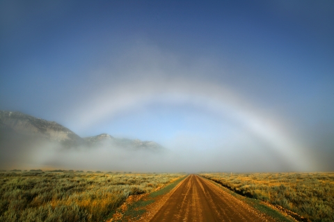 A mostly white fogbow over a tallgrass field bisected by a dirt road