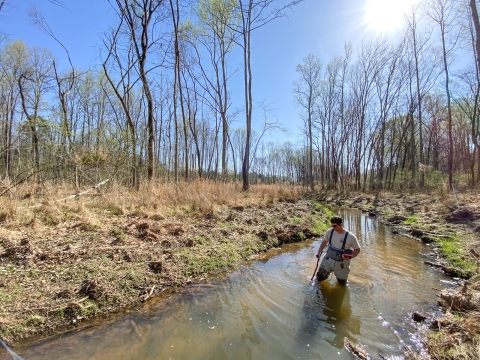 Lone person standing in a creek, holding onto one end of a long rod, the other end is underwater.