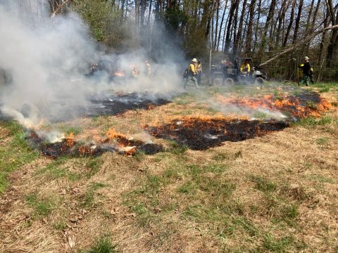 Grass being burned by US Fish & Wildlife staff. Small 6 wheeled vehicle present