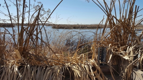 view from inside hunt blind showing view of wetland