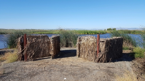 two hunt blinds covered in tule bundles. water in background. vegetation in background