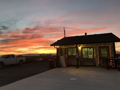 delevan check station with christmas lights on door frame and window frames. sunset in background. white truck to the left of the check station