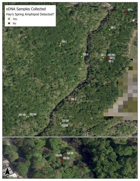 satellite image showing locations of surveys