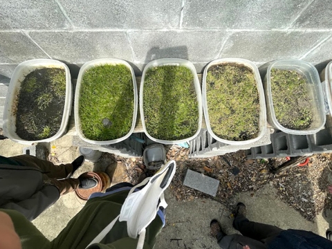 Bins holding soil and plants arranged on a table