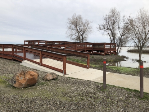 viewing platform with three trees in background