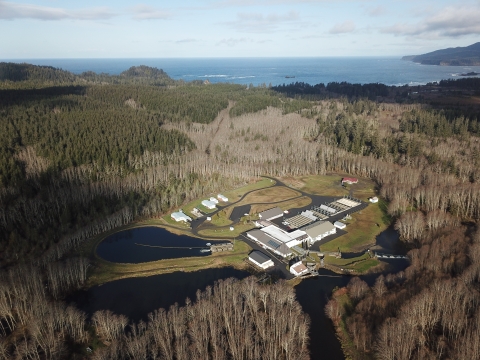 Aerial view of Makah National Fish Hatchery