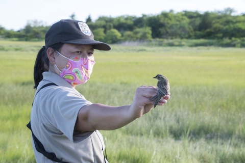 a woman wearing a face mask and a US Fish and Wildlife Service hat holds a small bird on her hand