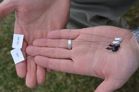 Tiny radio transmitters in the palm of a hand