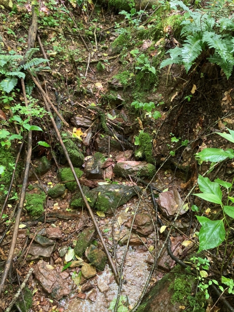 Water trickling down mountain stream