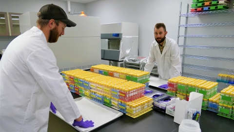 Two men in lab coats with hundreds of samples.