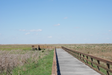 Boardwalk Trail is located on the west side of Shoveler Pond.