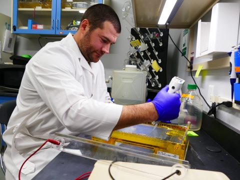 Staff member in lab coat using PCR machine