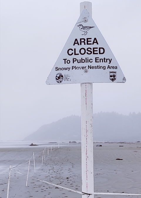 Triangular sign featuring a snowy plover and text that reads "area closed to public entry, snowy plover nesting area" on a beach