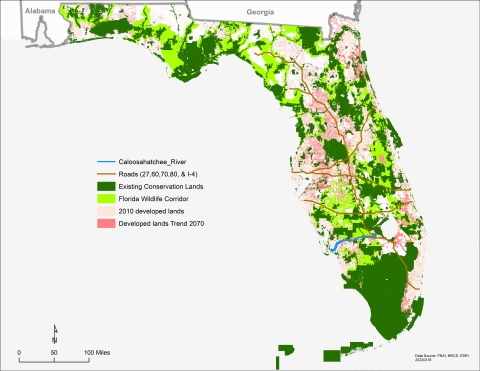 Map of Florida showing large patches of land already in conservation and yellow-green patches connecting protected areas. Lands developed by 2010 are shown in light pink and  land projected for development by the year 2070 are shown in a darker shade of pink. Existing roads appear in brown. 