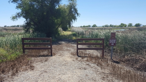 road leading to mobility impaired blind. two brown fences. brown sign reads "car top boat launch only no vehicles"