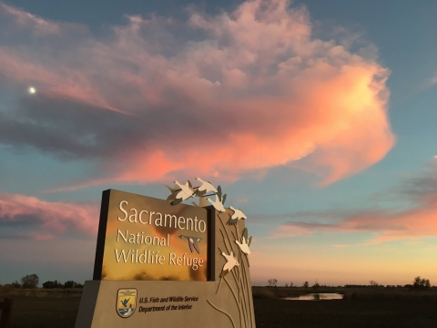entrance sign for Sacramento National Wildlife Refuge with clouds in background