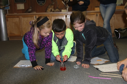 three kids doing an activity about beaks. middle kid is holding pliers and dipping them into red colored water. other two kids are observing