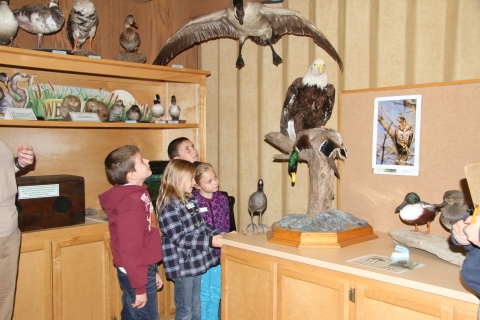 group of 4 students looking at bald eagle mount