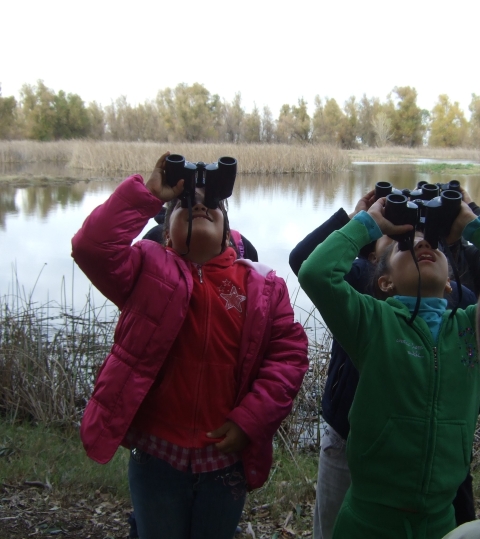 2 kids using binoculars to look at something in tree